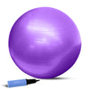 65cm Exercise Ball with Pump
