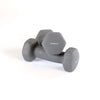 2 lbs. X 2. Gray Neoprene covered, non-slip dumbbells. Perfect for lightweight exercises like aerobic and therapy. Dumbbells on a white background.