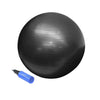 65cm Exercise Ball with pump