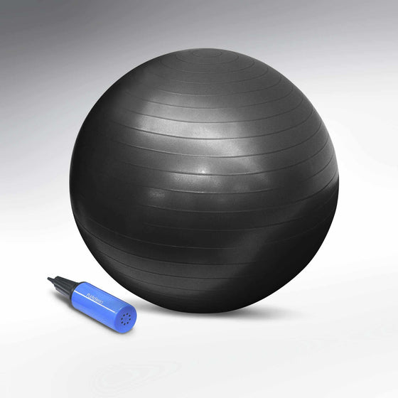 65cm Exercise Ball with pump