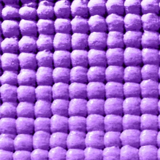PurAthletics Studio Grade Yoga Mat