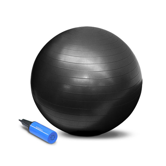 65cm Exercise Ball with Pump