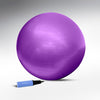 65cm Exercise Ball with Pump