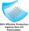 N95 Disposable Respirator facemask
